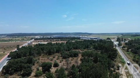 Terreno para Venda em Almeirim