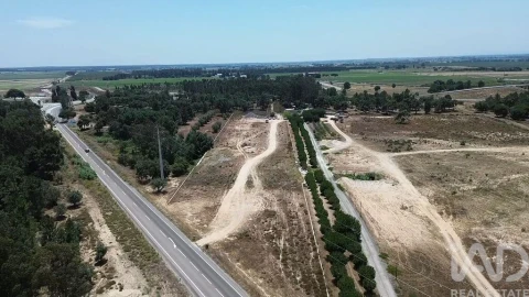 Terreno para Venda em Almeirim