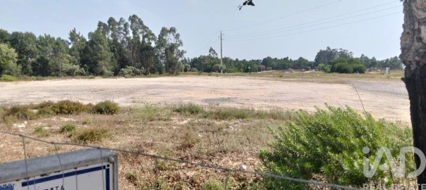Terreno para Venda em Almeirim