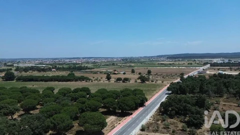 Terreno para Venda em Almeirim