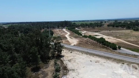 Terreno para Venda em Almeirim