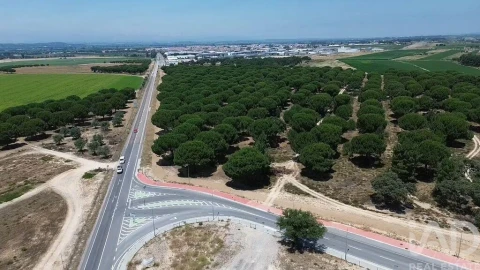 Terreno para Venda em Almeirim