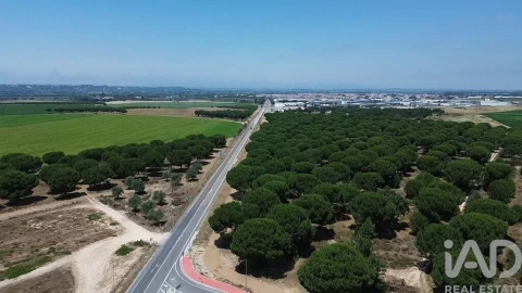 Terreno para Venda em Almeirim