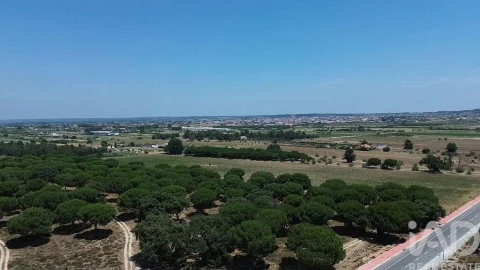 Terreno para Venda em Almeirim