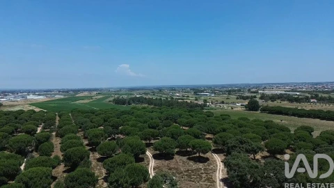 Terreno para Venda em Almeirim