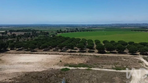 Terreno para Venda em Almeirim