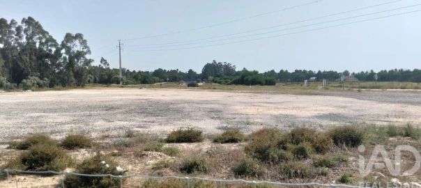 Terreno para Venda em Almeirim