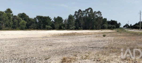 Terreno para Venda em Almeirim