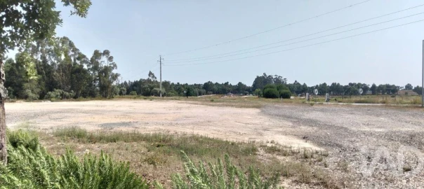 Terreno para Venda em Almeirim