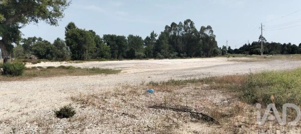 Terreno para Venda em Almeirim
