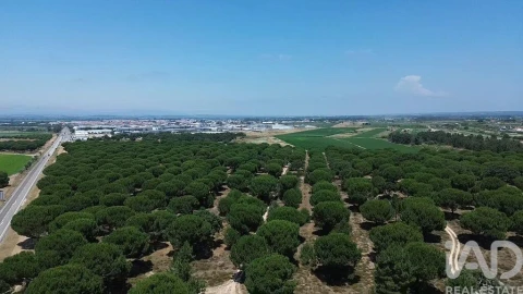 Terreno para Venda em Almeirim