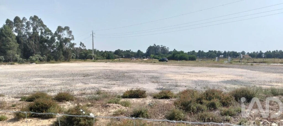 Terreno para Venda em Almeirim Foto 11