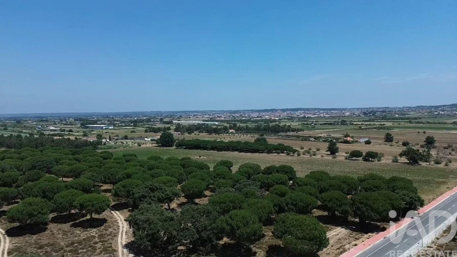Terreno para Venda em Almeirim Foto 28