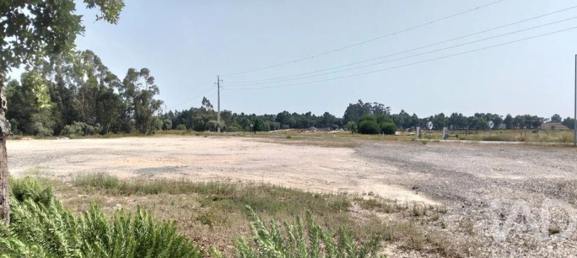 Terreno para Venda em Almeirim Foto 13