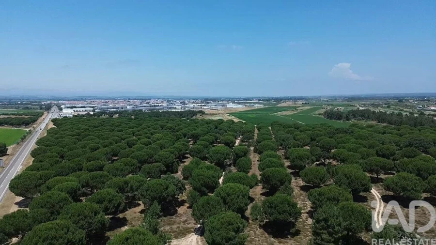 Terreno para Venda em Almeirim Foto 40