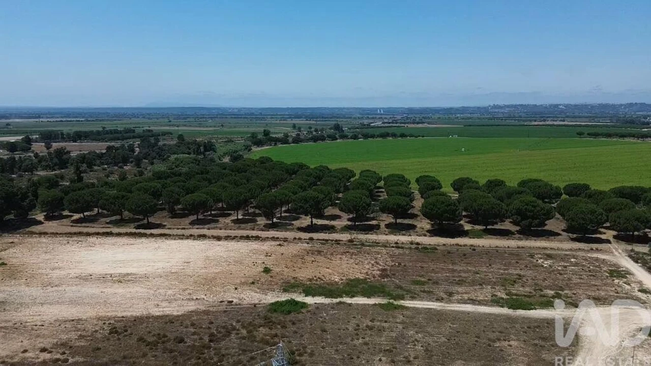 Terreno para Venda em Almeirim Foto 39