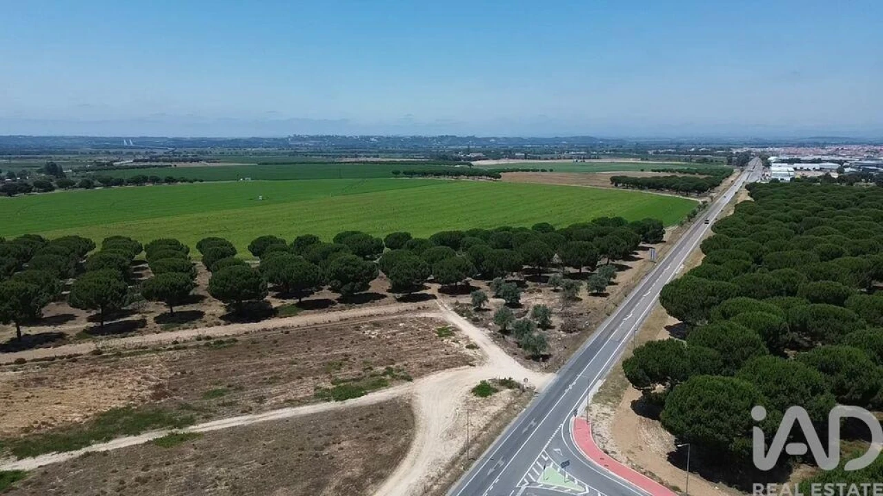 Terreno para Venda em Almeirim Foto 38