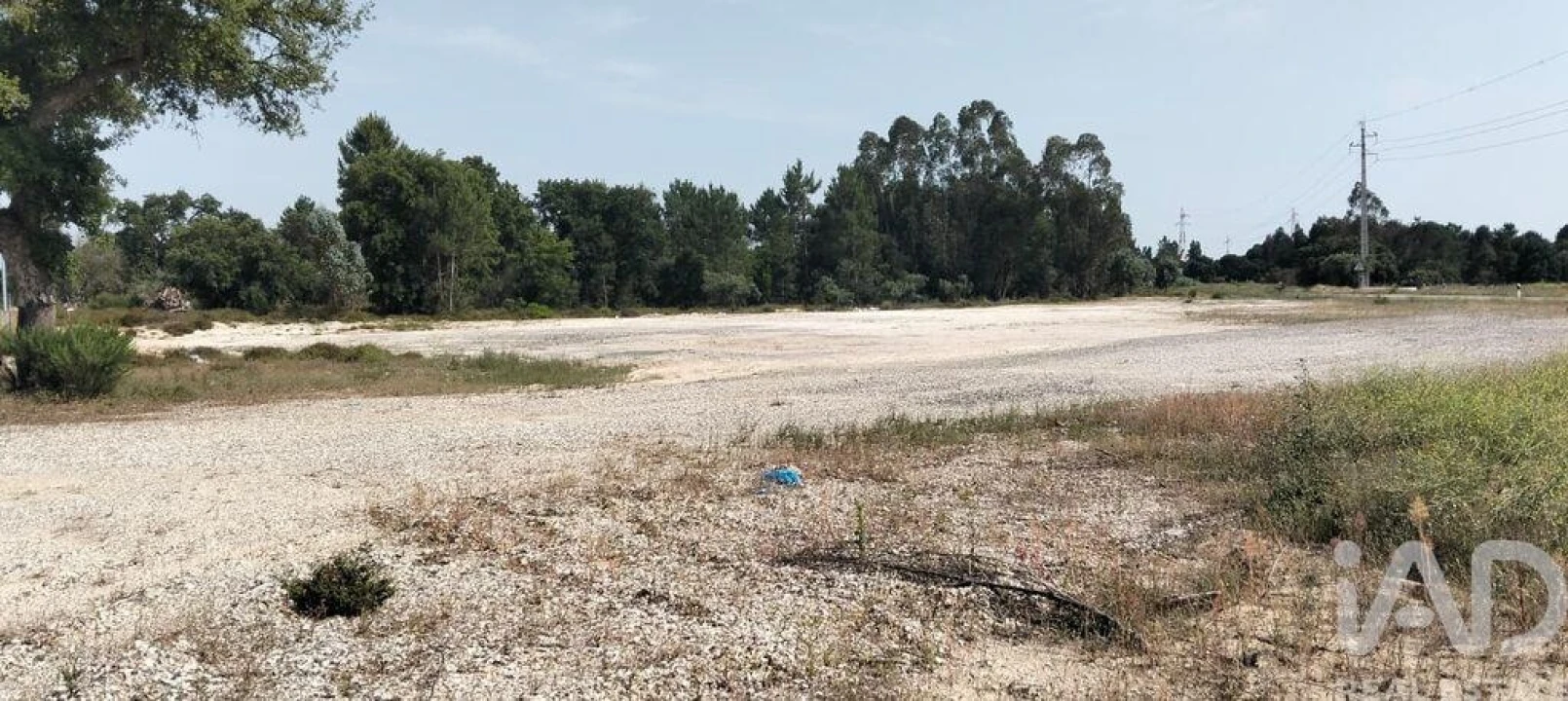 Terreno para Venda em Almeirim Foto 6