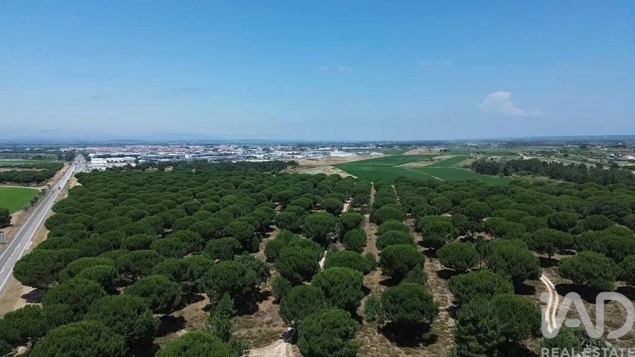 Terreno para Venda em Almeirim Foto 40