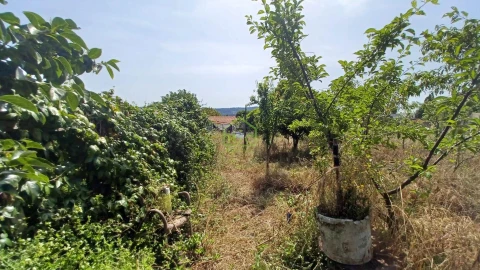 Terreno para Venda em Junqueira
