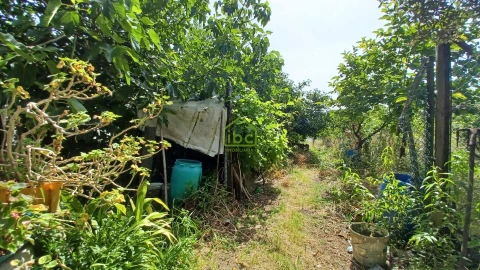 Terreno para Venda em Junqueira