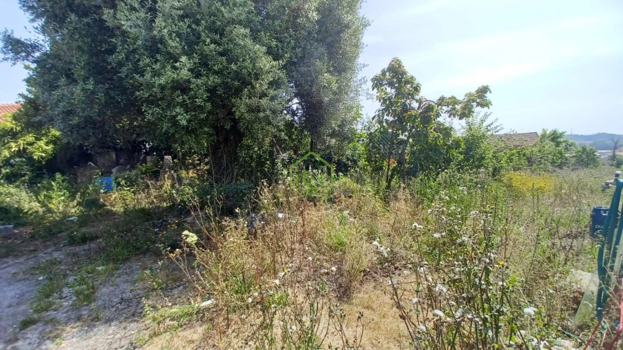 Terreno para Venda em Junqueira Foto 9