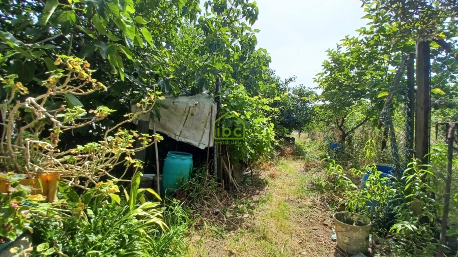 Terreno para Venda em Junqueira Foto 16