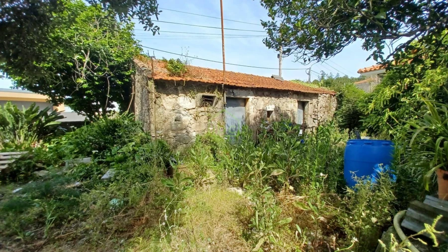 Terreno para Venda em Junqueira Foto 6