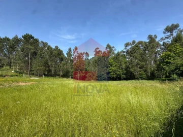 Terreno para Venda em Cervães