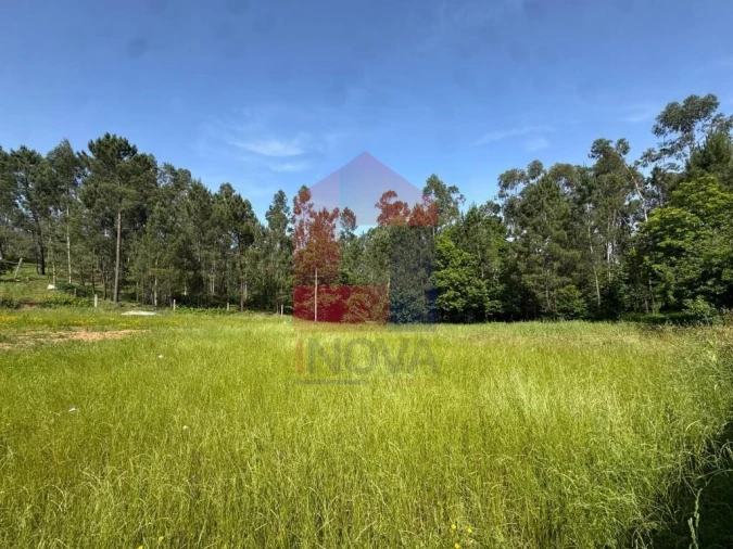 Terreno para Venda em Cervães Foto 5