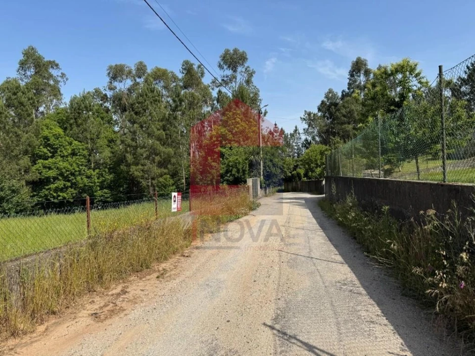 Terreno para Venda em Cervães Foto 6