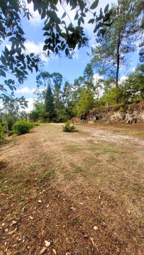Moradia T4 para Venda em Mosteiro