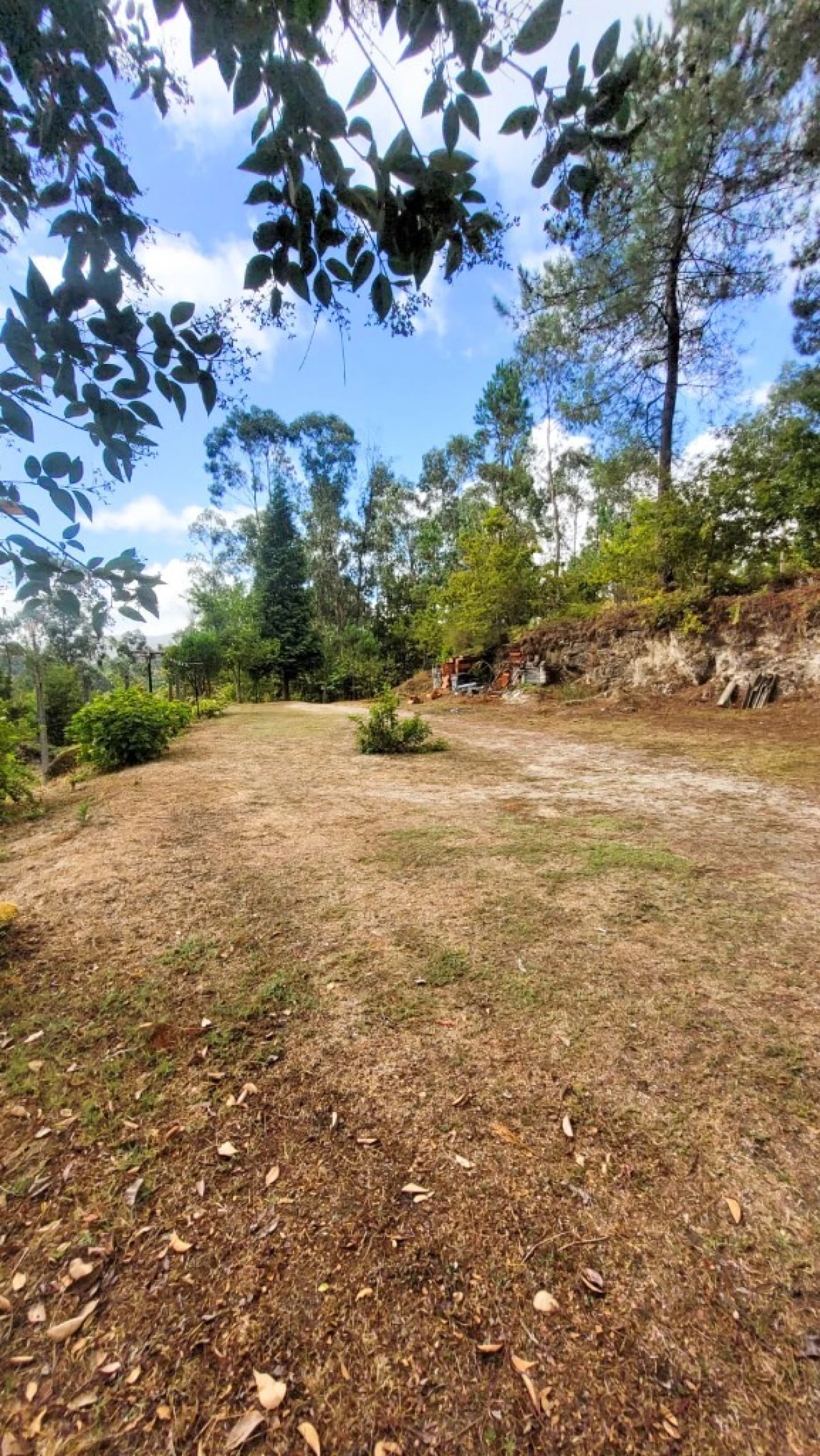 Moradia T4 para Venda em Mosteiro Foto 31