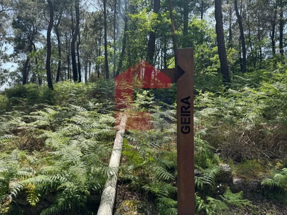 Terreno para Venda em Campo do Geres Foto 36