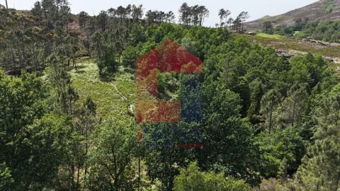 Terreno para Venda em Campo do Geres