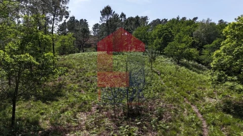 Terreno para Venda em Campo do Geres