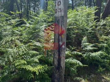 Terreno para Venda em Campo do Geres