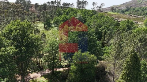 Terreno para Venda em Campo do Geres