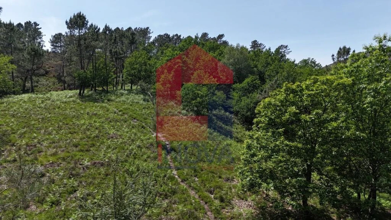 Terreno para Venda em Campo do Geres Foto 23