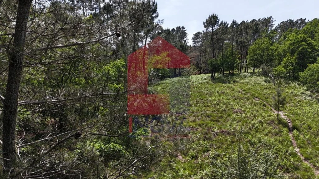 Terreno para Venda em Campo do Geres Foto 26