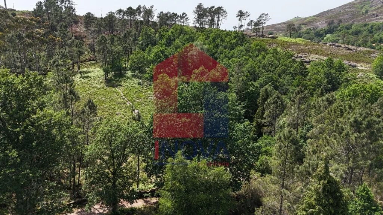 Terreno para Venda em Campo do Geres Foto 24