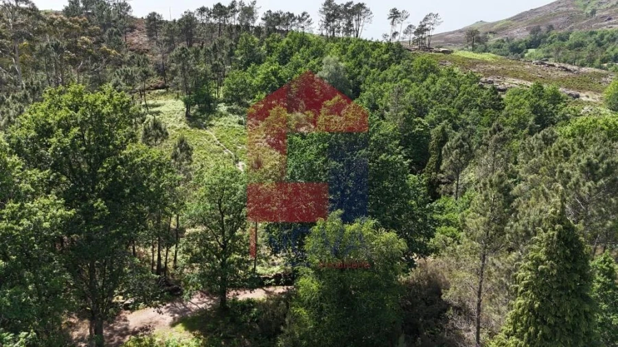 Terreno para Venda em Campo do Geres Foto 21
