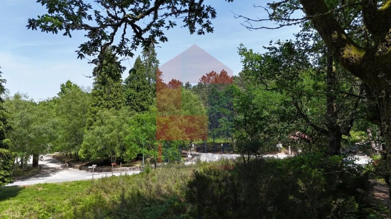 Terreno para Venda em Campo do Geres Foto 28