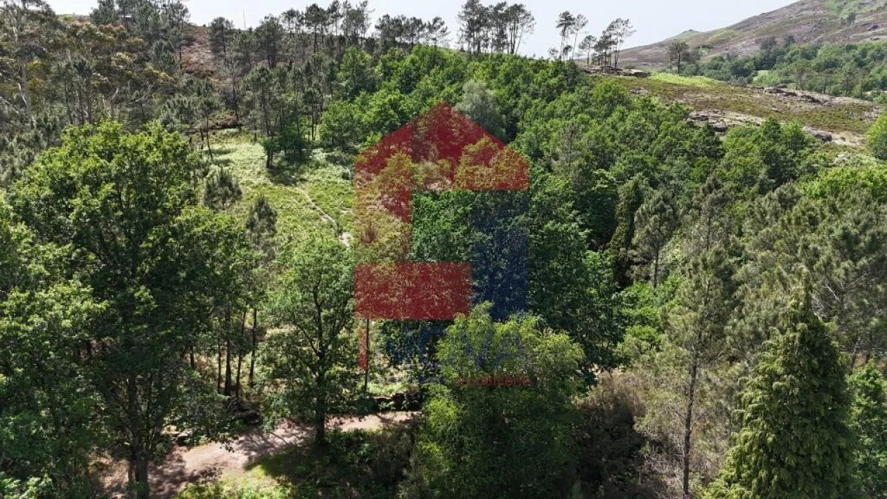 Terreno para Venda em Campo do Geres Foto 21