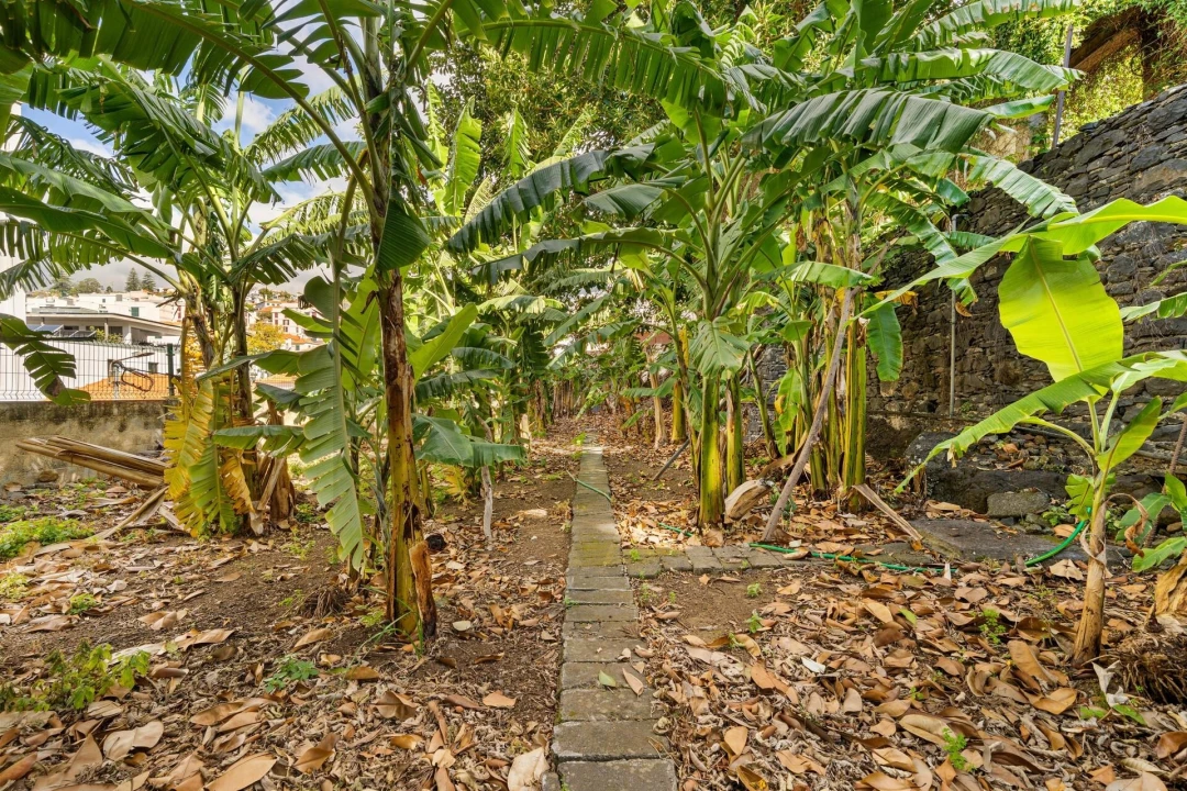 Quinta T5 para Venda em Imaculado Coração de Maria Foto 44