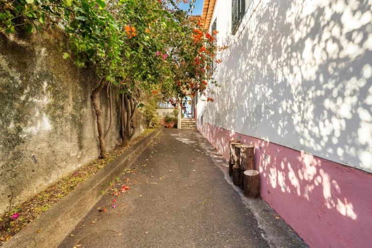 Quinta T5 para Venda em Imaculado Coração de Maria Foto 18
