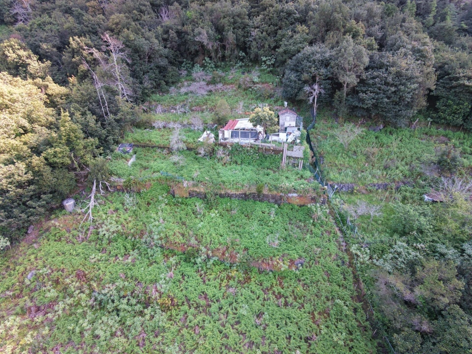 Terreno para Venda em São Vicente Foto 1