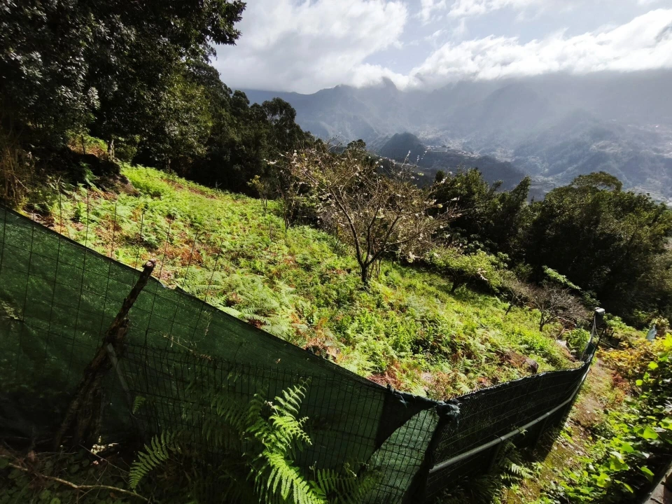 Terreno para Venda em São Vicente Foto 5