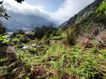Terreno para Venda em São Vicente