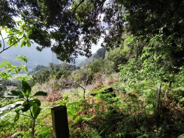 Terreno para Venda em São Vicente